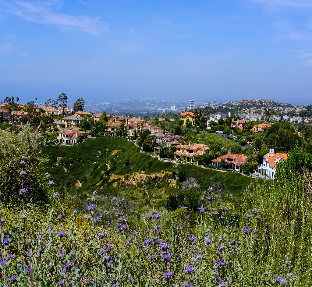 service areas_SIRG service areas_SIRG