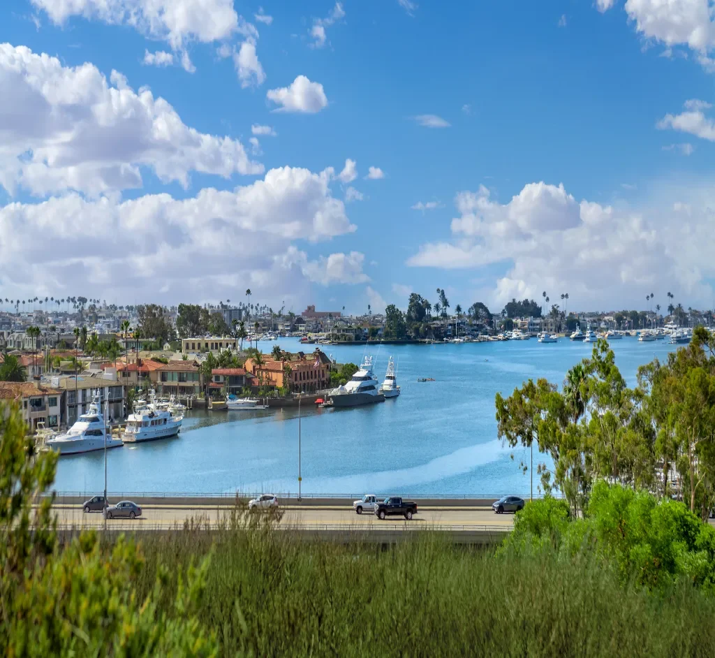 service areas_TVAM service areas_TVAM