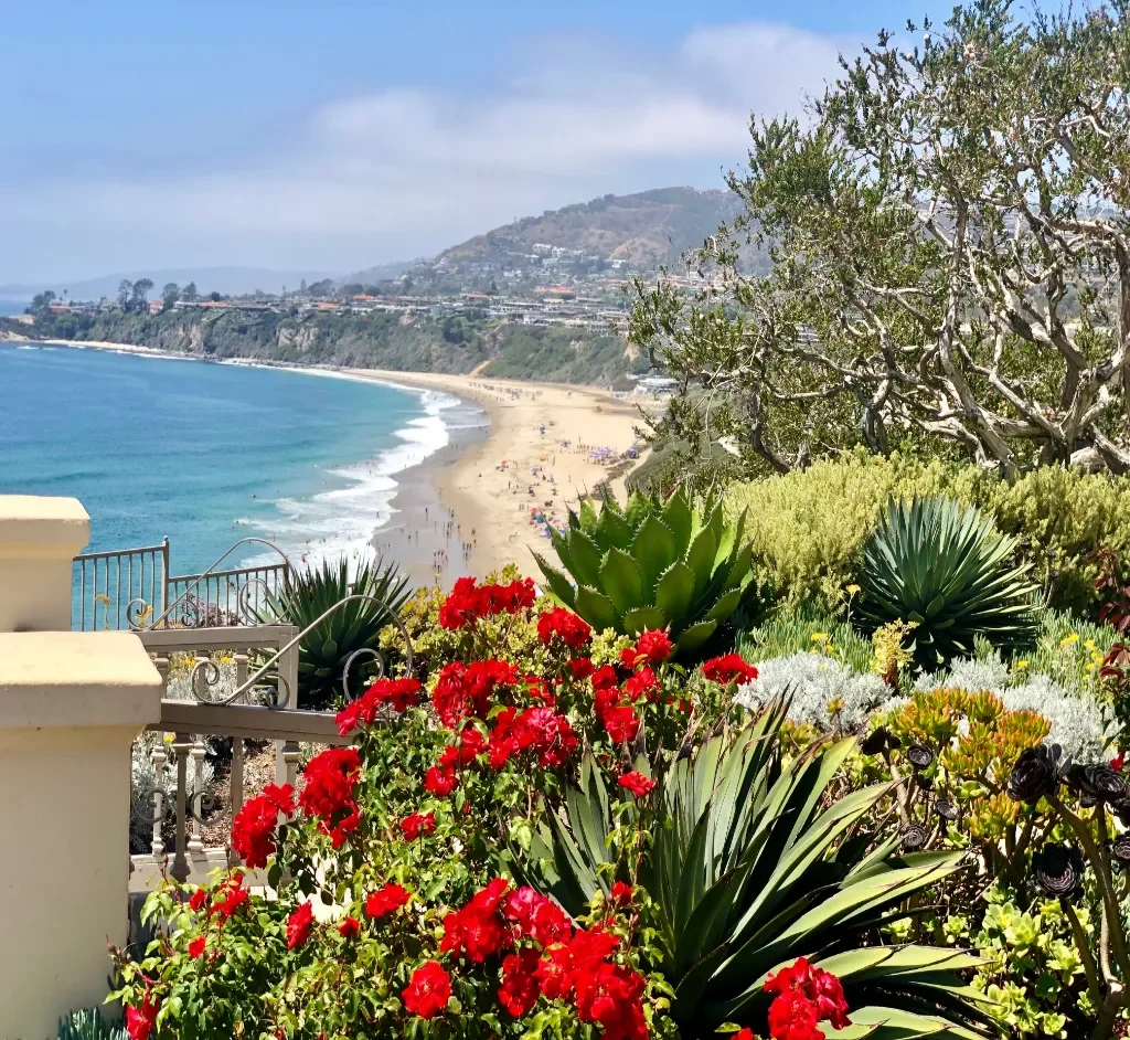 service areas_WCA5 service areas_WCA5