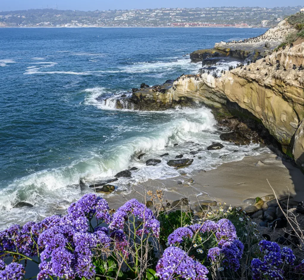 shutterstock_2434754577_NE6O